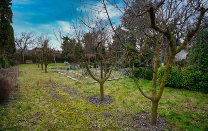 P.G's & Co. | Predáme 3 izbový rodinný dom na veľkom krásnom pozemku v Dobrohošti