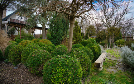 P.G's & Co. | Predáme 3 izbový rodinný dom na veľkom krásnom pozemku v Dobrohošti