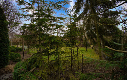 P.G's & Co. | Predáme 3 izbový rodinný dom na veľkom krásnom pozemku v Dobrohošti