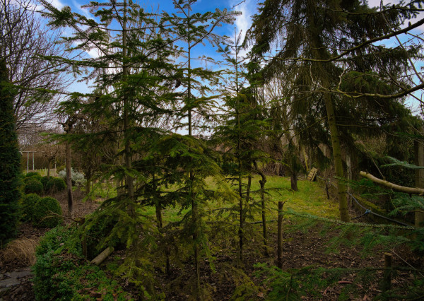 P.G's & Co. | Predáme 3 izbový rodinný dom na veľkom krásnom pozemku v Dobrohošti