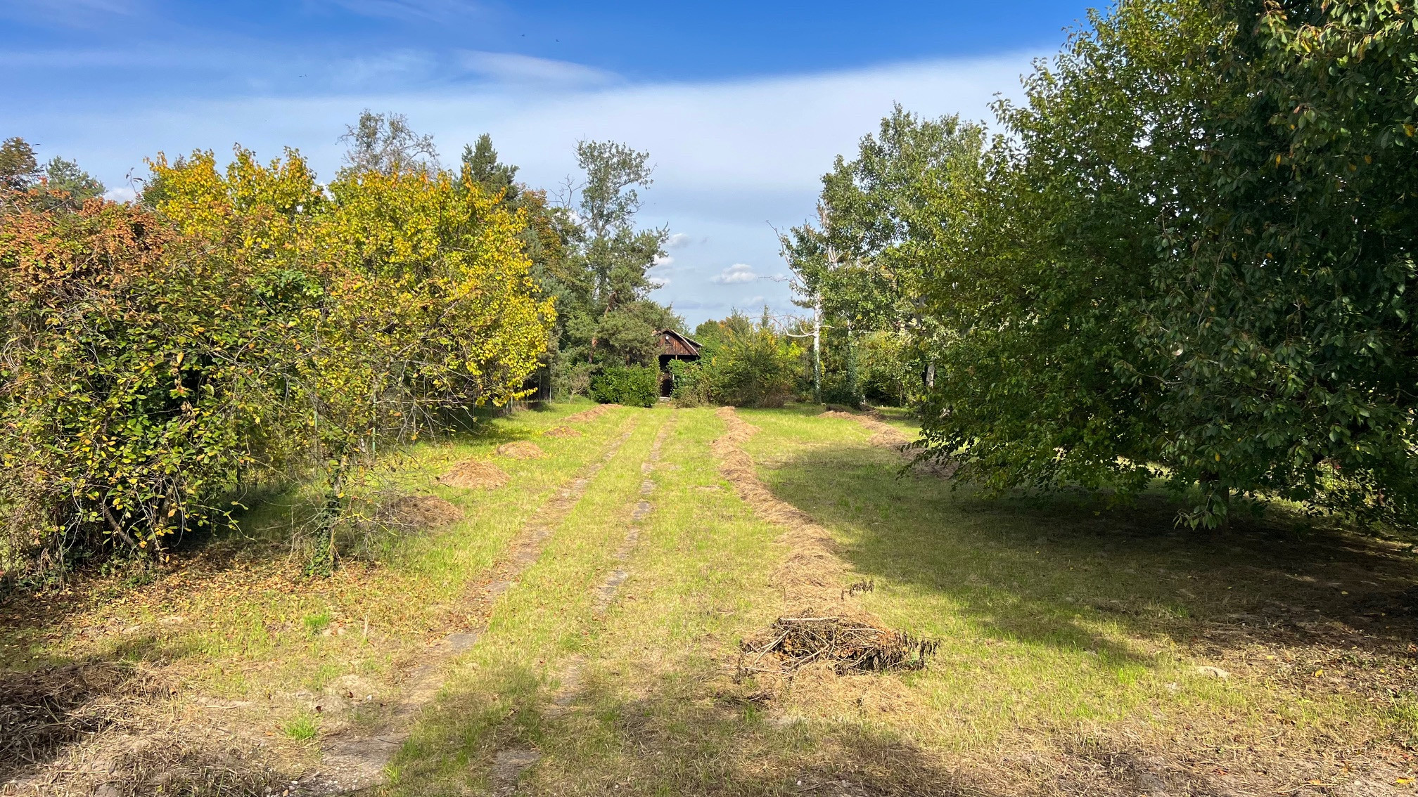 Na predaj stavebný pozemok 800m2, Kvetoslavov